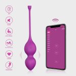 HPW133-L1313-2-APP-Smart-Waterproof-Vaginal-Kegel-Vibration-Training-Ball-purple-app