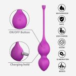 HPW133-L1313-2-APP-Smart-Waterproof-Vaginal-Kegel-Vibration-Training-Ball-purple-charging