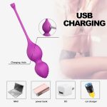 HPW133-L1313-2-APP-Smart-Waterproof-Vaginal-Kegel-Vibration-Training-Ball-purple-charging2