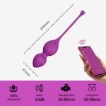 HPW133-L1313-2-APP-Smart-Waterproof-Vaginal-Kegel-Vibration-Training-Ball-purple-size