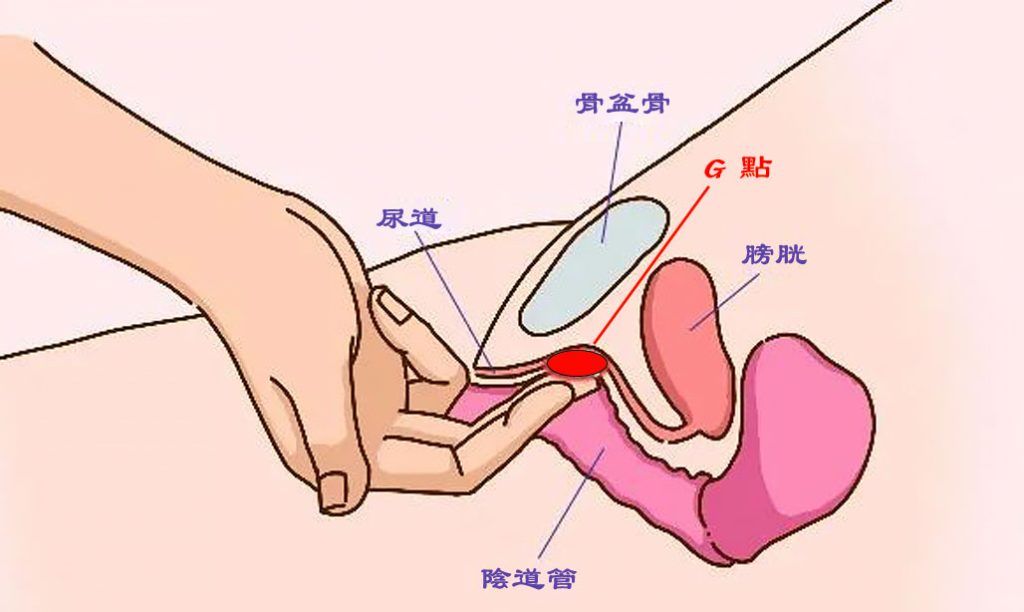 g spot diagram
