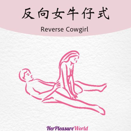 做愛體位-反向女牛仔式