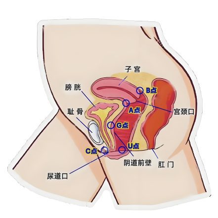 a-spot-b-spot-position-orgasm-skills-2