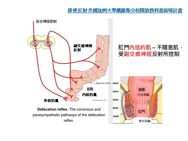 risks of anal sex 4