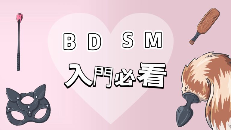 introduction-to-basic-BDSM cover imagine
