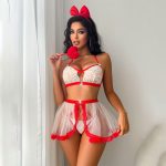 HPW305-NY-S25172-Red-lace-mesh-sexy-lingerie-set-front-view