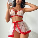 HPW305-NY-S25172-Red-lace-mesh-sexy-lingerie-set-principal-view