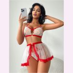 HPW305-NY-S25172-Red-lace-mesh-sexy-lingerie-set-right-front-view
