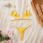 HPW307-NY-1185-Small-Floral-Embroidery-Wire-Bra-Set-back-view