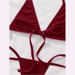 HPW326-NY-Y1067-Burgundy-velvet-sexy-lingerie-set-partial-view3