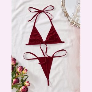 HPW326-NY-Y1067-Burgundy-velvet-sexy-lingerie-set-principal-view