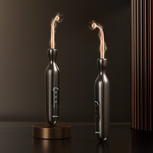 BDSM electric shock toys, genital training, male slave, severe female hardcore sex toys principal view